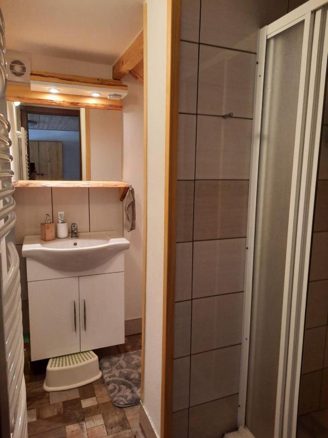 Appartement Spicak - U Barabu à Železná Ruda Extérieur photo