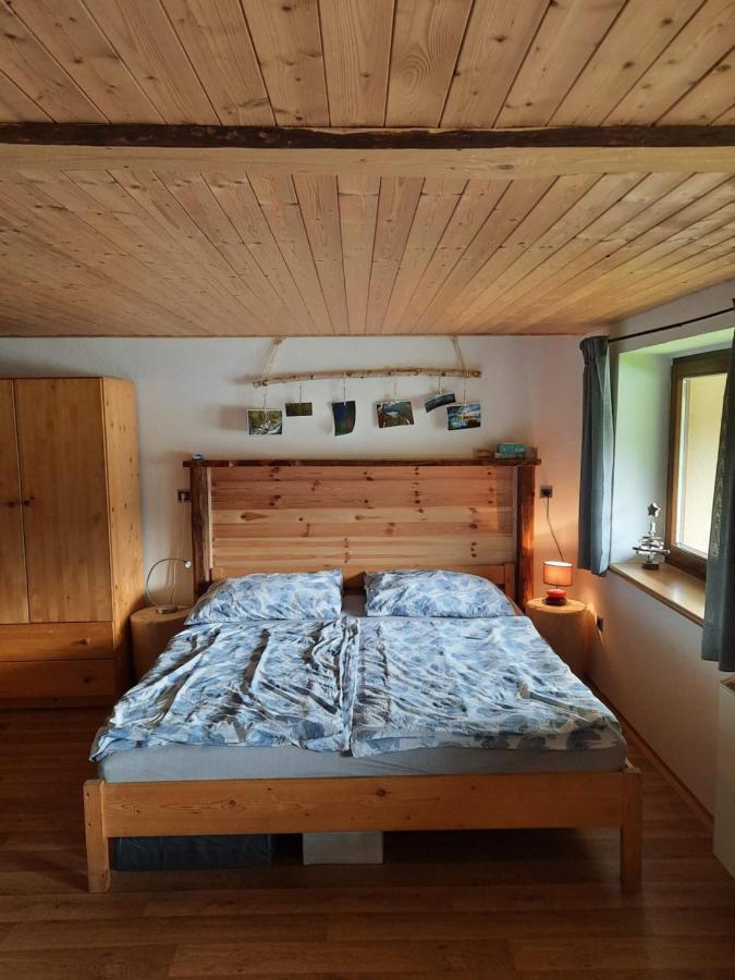 Appartement Spicak - U Barabu à Železná Ruda Extérieur photo