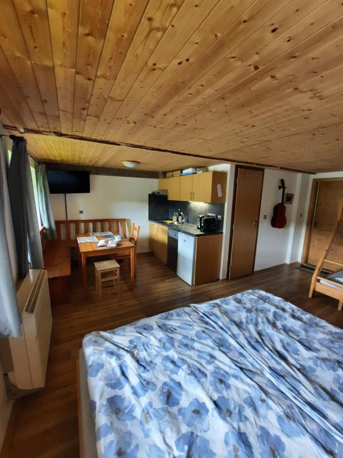 Appartement Spicak - U Barabu à Železná Ruda Extérieur photo