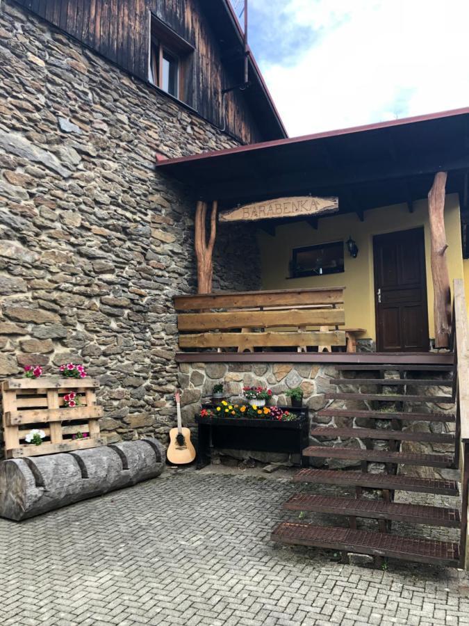 Appartement Spicak - U Barabu à Železná Ruda Extérieur photo